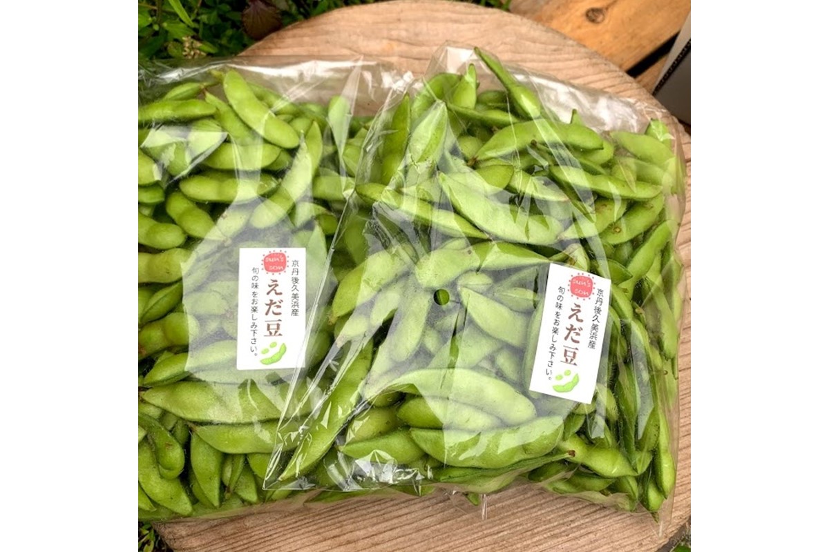 【先行予約／数量限定40】朝採り枝豆（湯上り娘）500g（250g×2パック）（栽培期間中農薬・化学肥料・除草剤不使用）（2026年7月上旬～発送）　KU00075