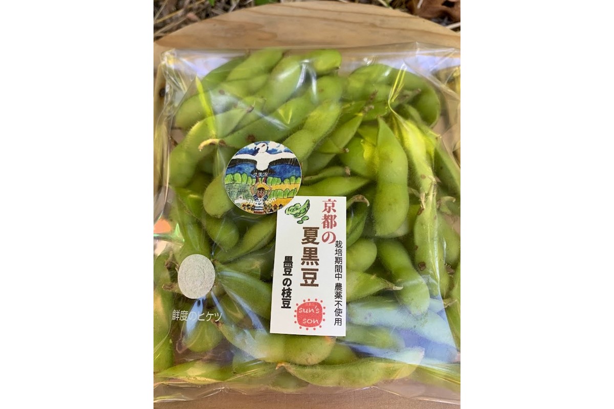 【先行予約／数量限定40】京都夏黒枝豆さや 500g（250g×2パック）（2026年7月中旬～発送）　KU00076
