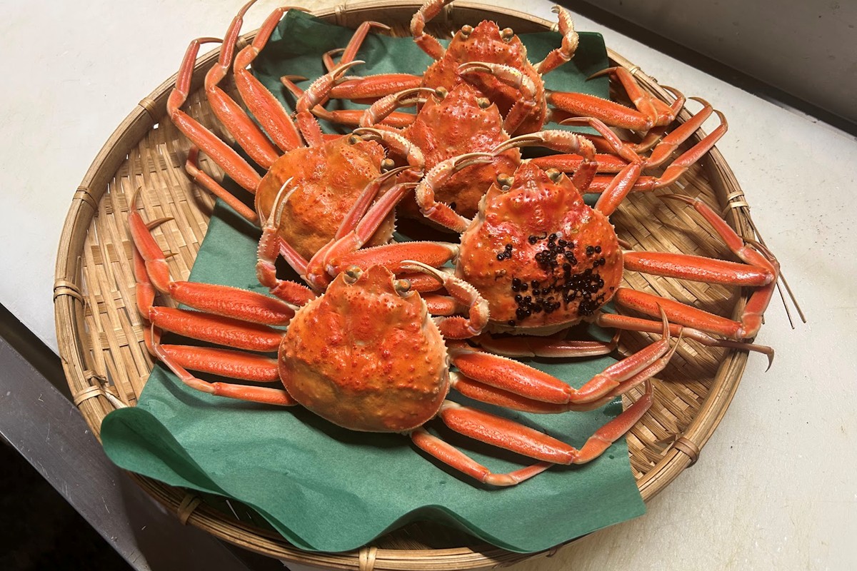 間人漁港仲買人の丸友鮮魚三代目・自慢の間人産セコガニ≪茹で≫10匹セット（1匹130g以上）　MG00002