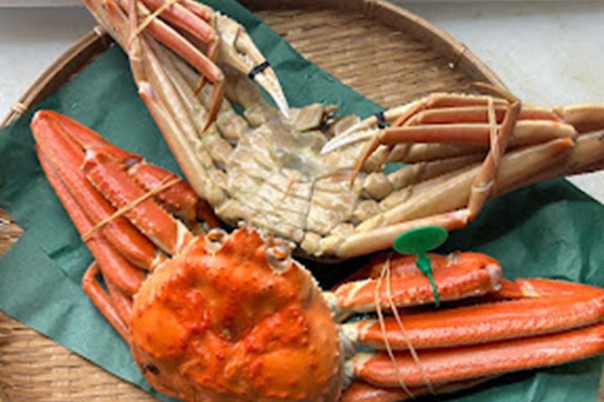 間人漁港仲買人の丸友鮮魚三代目・自慢の間人ガニ≪茹で≫[1匹 500～600g×2匹]　MG00005