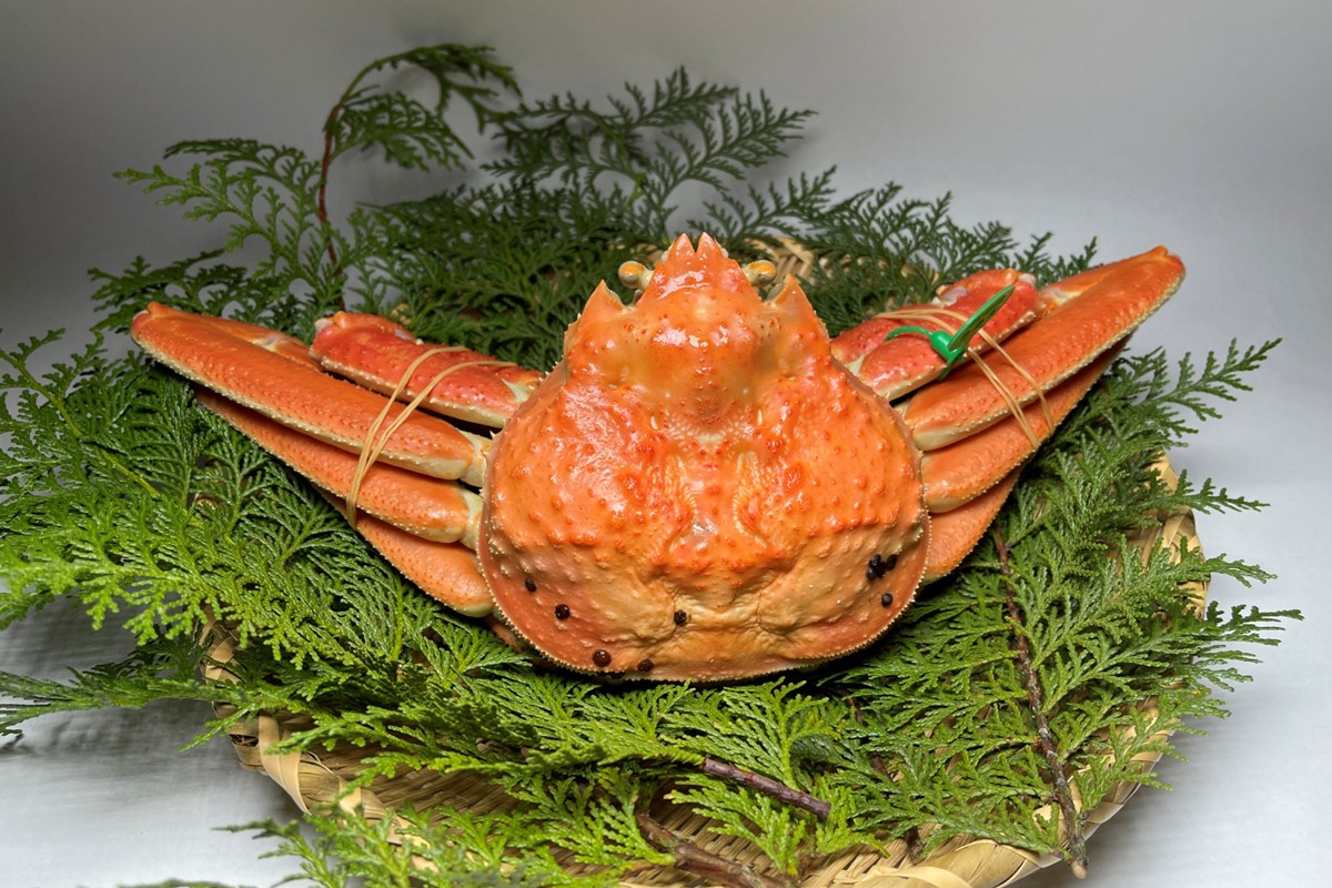 間人漁港仲買人の丸友鮮魚三代目・自慢の間人ガニ訳アリ≪茹で≫[1匹 800～900g×2匹］　MG00014