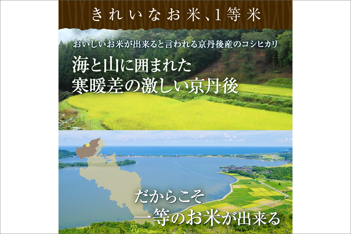 【定期便6回】令和7年産  丹後こしひかり 5kg×6ヵ月 1等米　MU00061