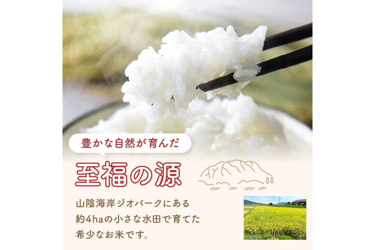 【先行予約】丹後弥栄産コシヒカリ（玄米10kg） コシヒカリ 玄米 おこめ おにぎり 京都産 お米 ふるさと納税 こしひかり　NF00006