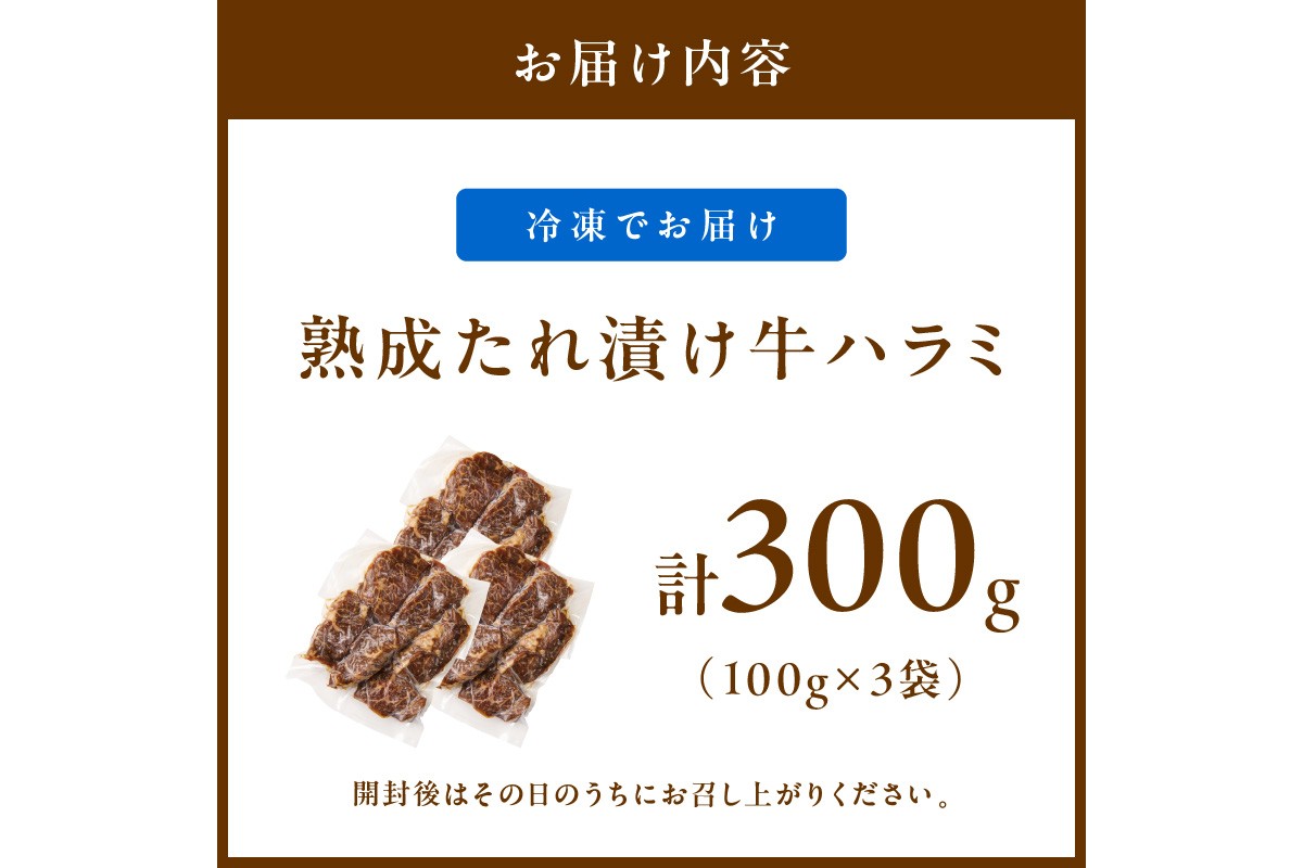 たれ漬けハラミ 1パック100ｇ×3袋　NH00044