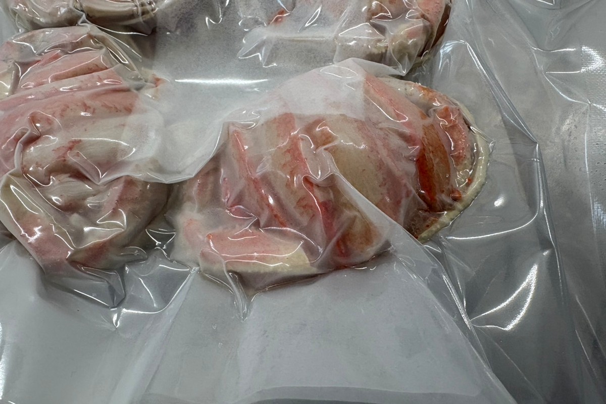 コッペの甲羅盛4匹分　NJ00005