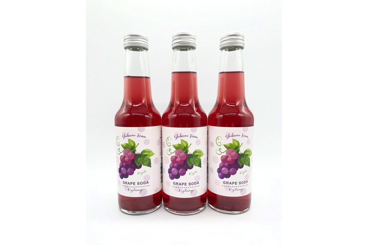 京丹後のぶどう炭酸ジュース（ソーダ） 小瓶3本入り（2026年9月下旬～発送）京丹後 ぶどう 葡萄 炭酸ジュース ソーダ しばの 飲料 ジュース ふるさと納税 ぶどう ふるさと納税 ジュース　SF00046