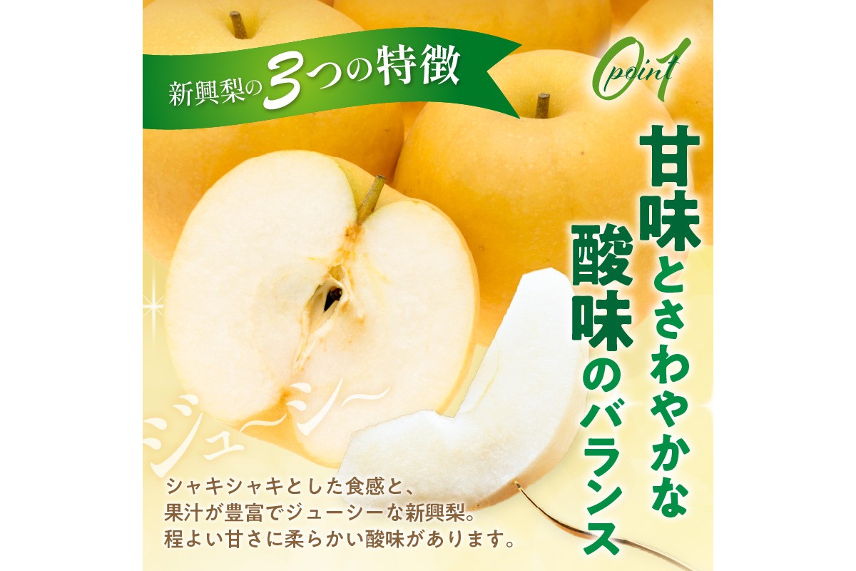 【先行予約／数量限定50】新興梨 秀品 5kg（8～16玉入り）（2026年10月上旬～発送）　SF00042