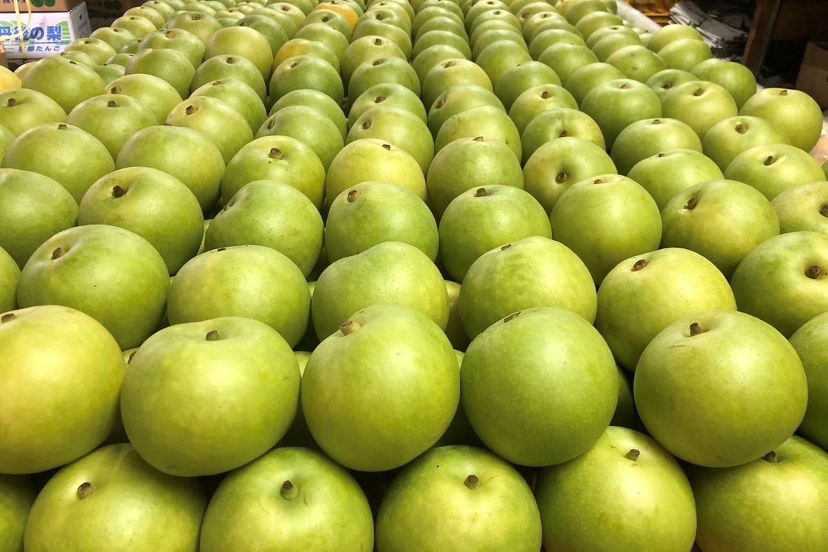 【先行予約／数量限定50】【訳あり】20世紀梨 優品 3kg（7～12玉入り）（2026年9月上旬～発送） なし 二十世紀梨 ふるさと 納税 梨 ふるさと 納税 20世紀梨　SF00052