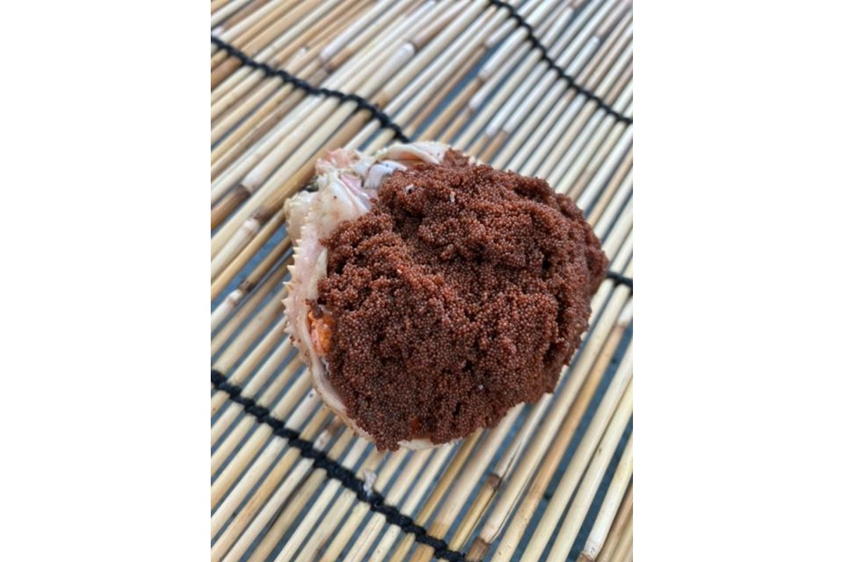 酒市の贅沢セイコガニの子宝盛　2個入 魚介類 海鮮 カニ 蟹 子宝盛 ふるさと納税 セイコガ二 　SK00223