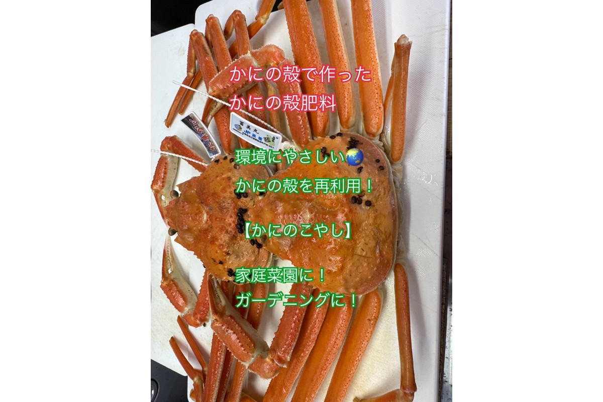 SDGsに貢献！カニ殻肥料 かにのこやし 200g　SK00166