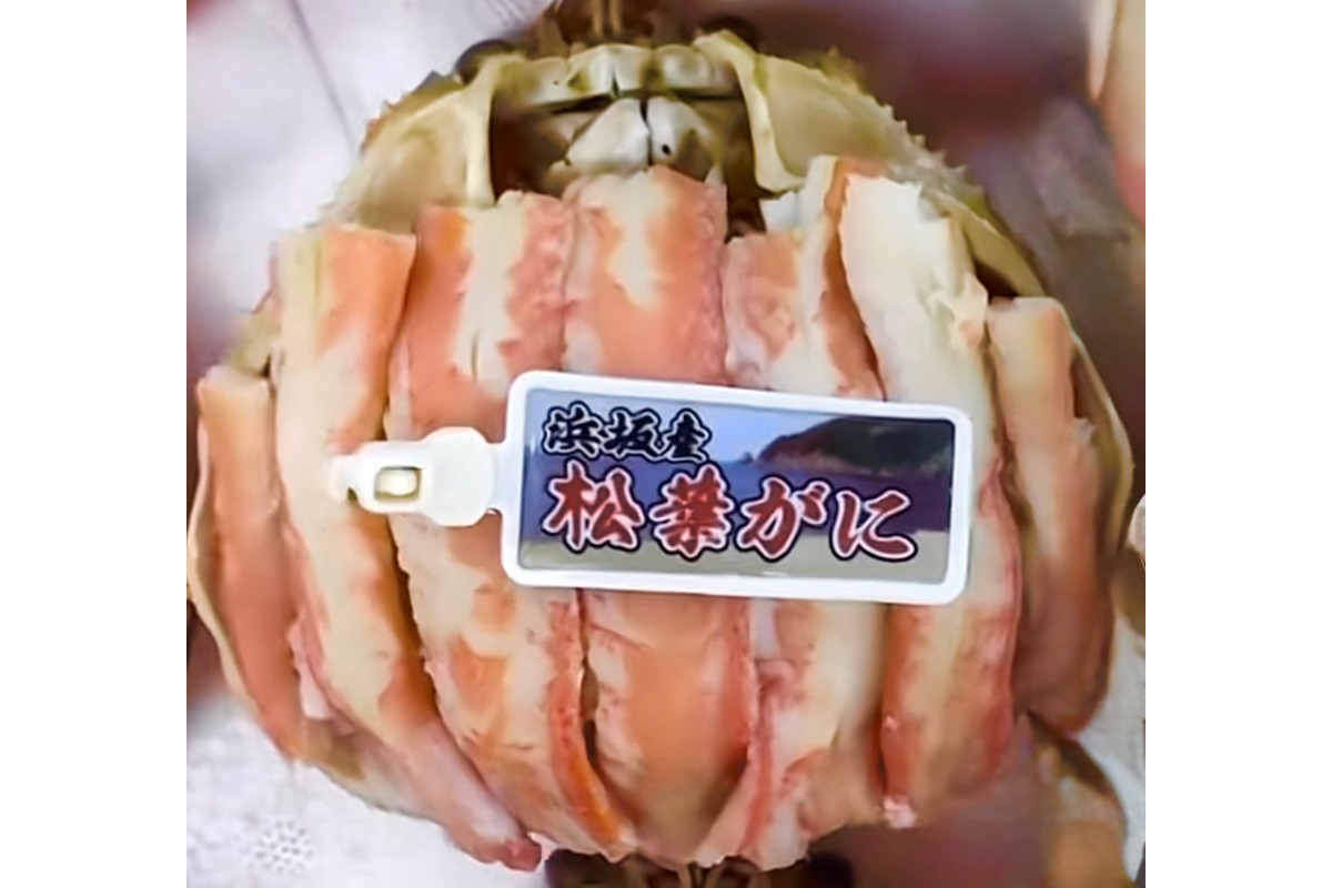松葉ガニ甲羅盛3Lサイズ 1個 カニ 松葉蟹 ズワイガニ 甲羅盛 ふるさと納税 カニ　SK00231