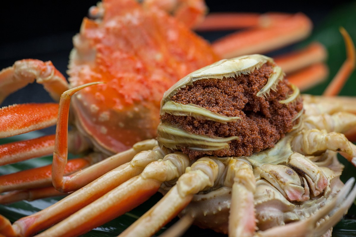 驚きの旨さ！茹でセコガニ 【訳あり】小サイズ5匹入　SS00084