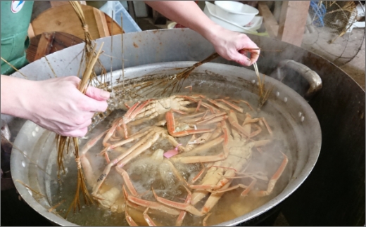 冬の旬松葉かに（山陰沖）京丹後の地元魚屋　特選茹で松葉かに　１２００ｇ以上１匹　TB00034