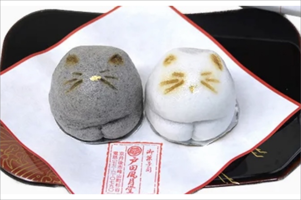 猫 NEKO-NO-EN(ねこのえん),季節の上生菓子10ヶ入セット　TD00009