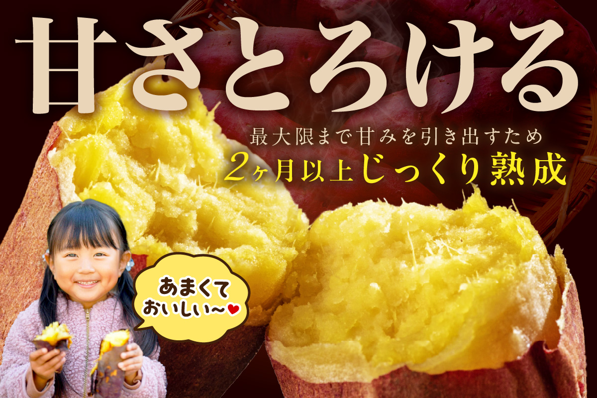さつまいもオブザイヤー紅はるか部門全国1位 京都・ 丹後産　さつまいも 紅はるか　土付き（1本120〜450g程度）10kg　TF00055