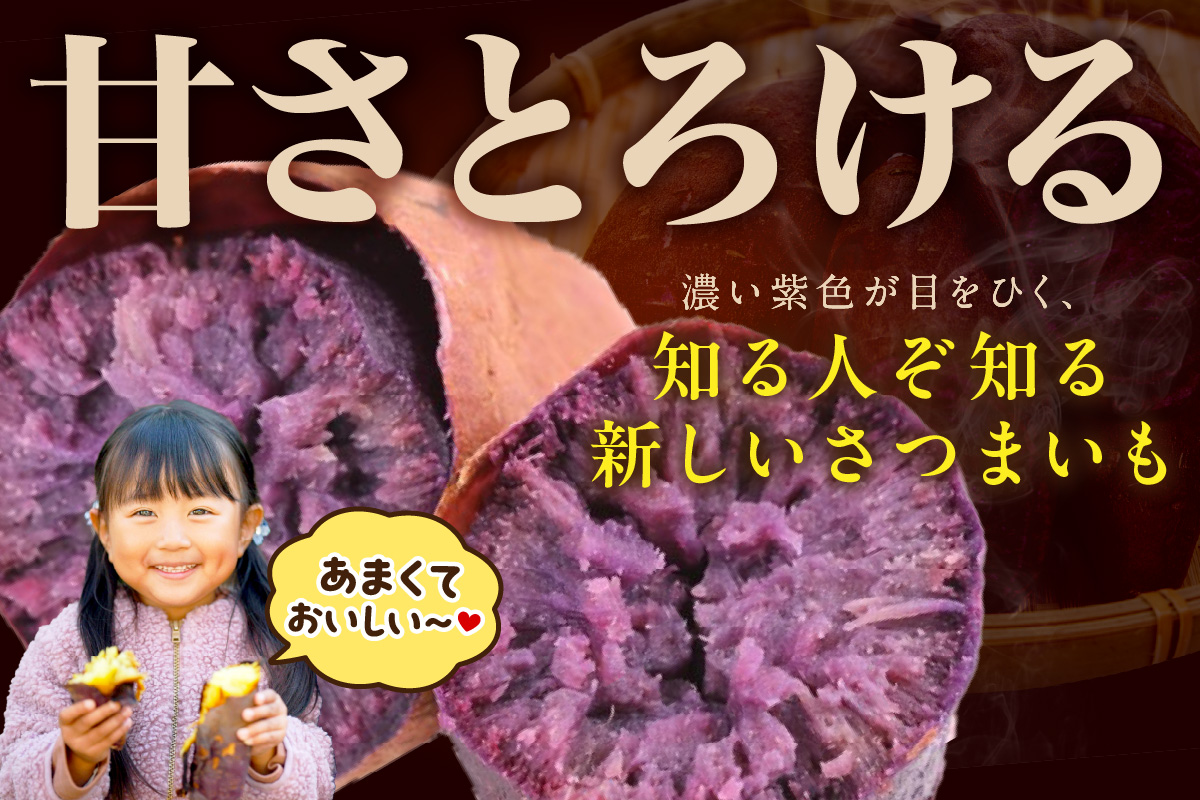 さつまいもオブザイヤー全国1位 京都・ 丹後産　さつまいも ふくむらさき　土付き（1本120〜450g程度）3kg　TF00056