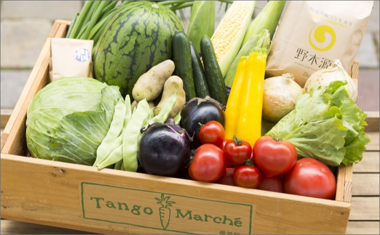 京丹後産・旬の野菜 5～8種詰め合わせ（小）　TO00082