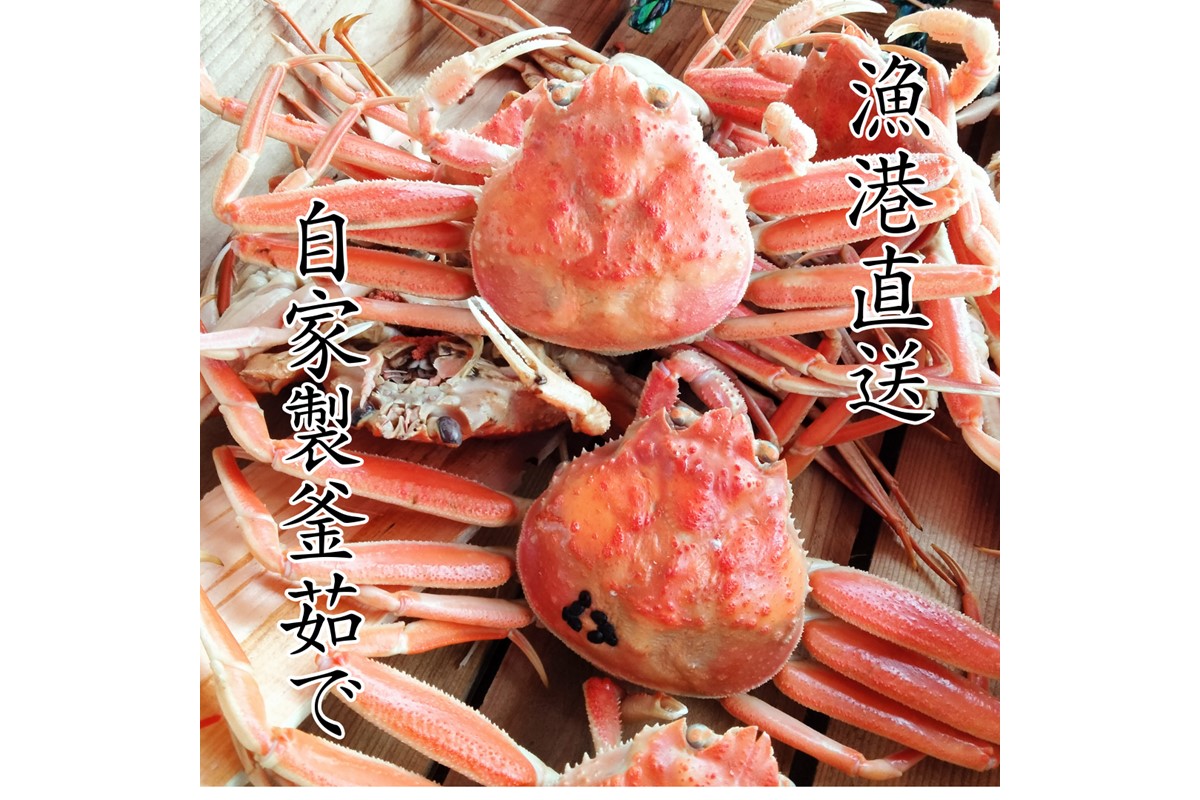 年末発送：京丹後市より！香箱蟹の甲羅盛り（加工後 甲羅含む重さ約55g前後×10個）　UM00034_12e