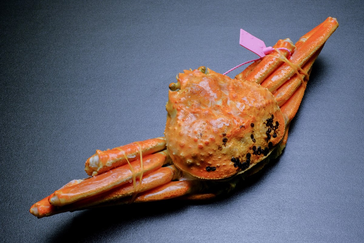 【蟹の匠 魚政】魚政BLACK 茹でズワイガニ〈急速冷凍〉大サイズ 1杯【姿のまま】カニ酢付き　UO01328