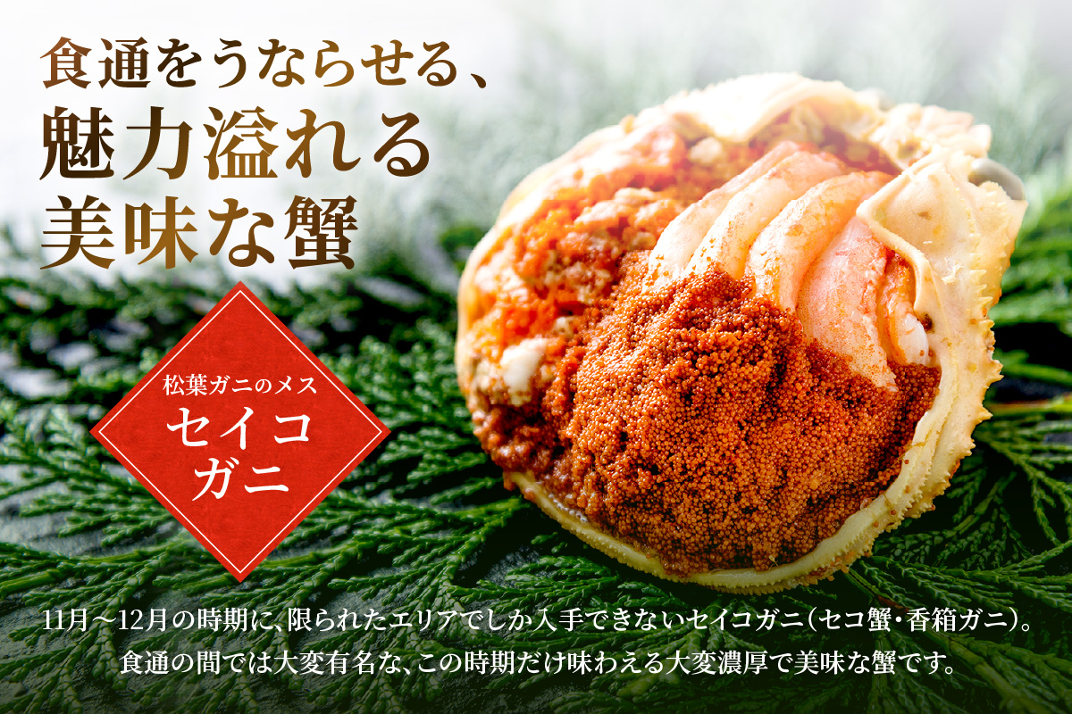【蟹の匠 魚政】セイコガニの甲羅盛り　蟹の宝船(たからぶね)中大サイズ3個セット 濃縮ダシ付(11月～12月発送)　UO01243