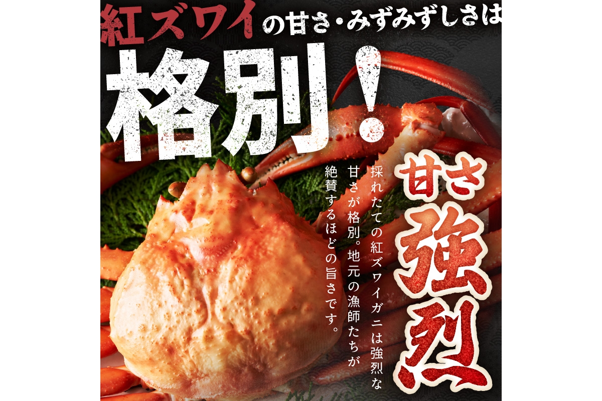 採れたて！釜茹で！　紅ズワイガニ　2杯　YK00577