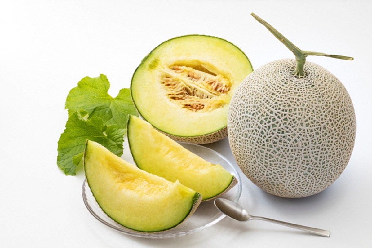 【先行予約】みんな大好き甘～ぃ！京丹後砂丘めろん！ 3玉（2026年7月下旬～発送）　YK00531