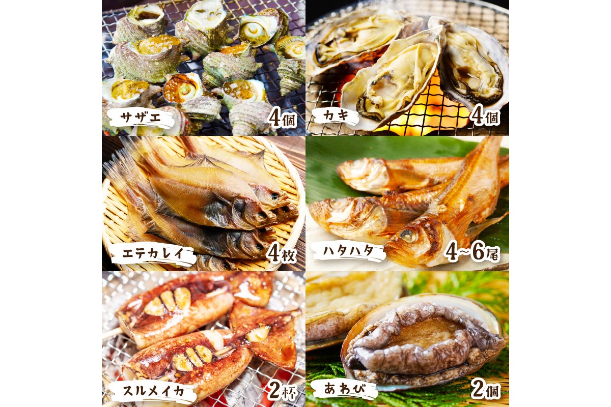 【先行予約】大満足！京丹後・海鮮BBQ　Dセット　贅沢アワビ付　6種22品（4～5人前）（2026年4月中旬～発送）　YK00555