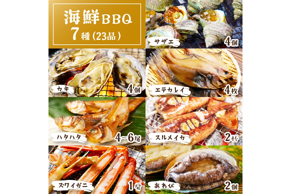 【先行予約】大満足！京丹後・海鮮BBQ　Fセット　豪華盛り合わせ　生ズワイガニ　アワビ付　7種23品（4～5人前）（2026年4月中旬～発送）　YK00557