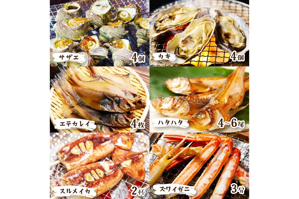 【先行予約】大好評！京丹後・海鮮BBQ　Gセット　大盛り生ズワイガニ　6種23品（4～5人前）（2026年4月中旬～発送）　YK00558