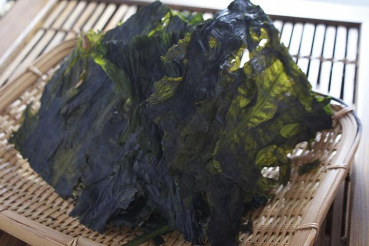 お土産人気商品！京丹後産 天然間人わかめ 20g×5袋　YK00340