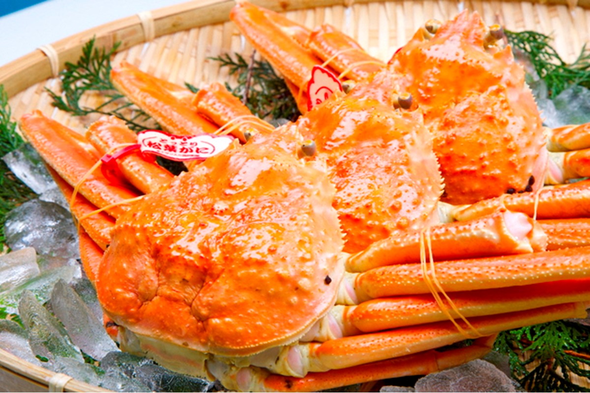 【先行予約】【厳選！タグ付きブランド蟹】茹で松葉かに（600g級×2杯）（2026年1月～発送）　YK00230