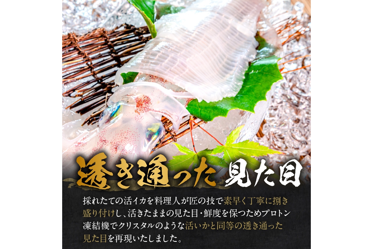 【先行予約】京丹後産　『海の京都』の逸品！！　活白イカ姿造り（クリスタル白いか）1人前サイズ2杯（150g前後）（2026年6月上旬～発送）　YK00542