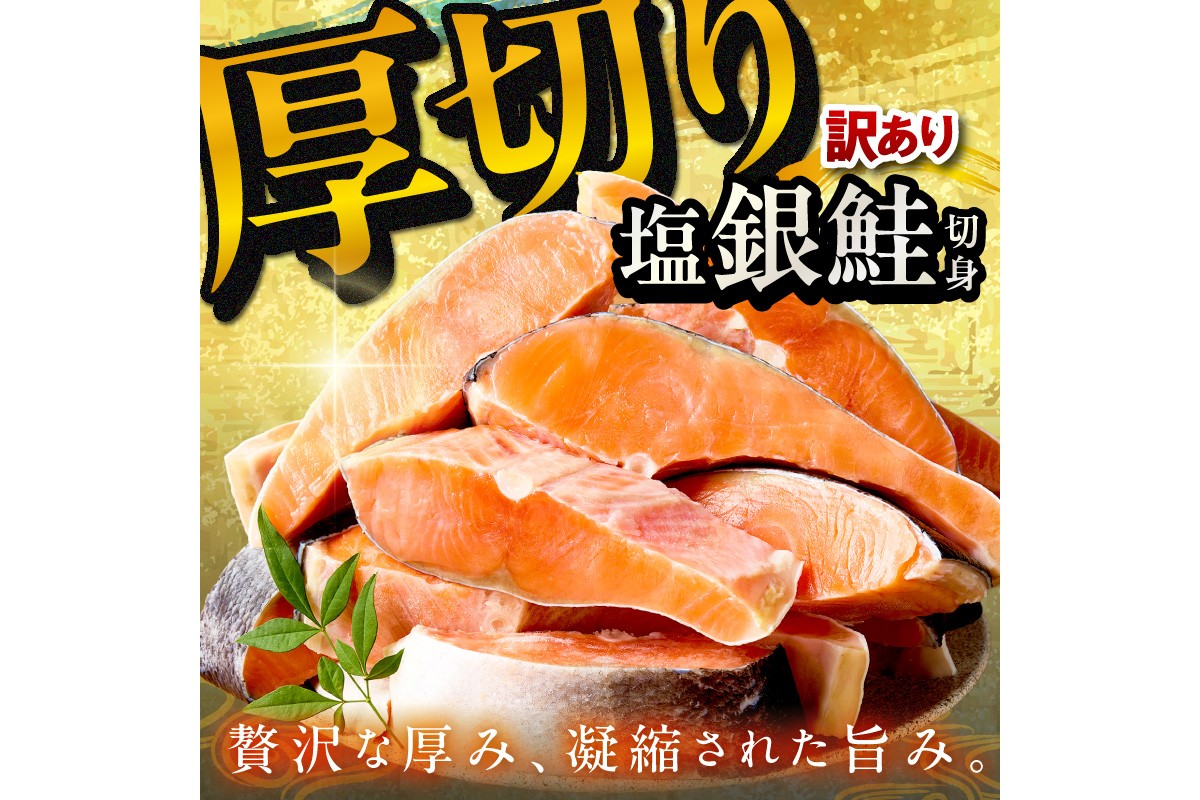 お手軽！絶品！厚切り　塩銀鮭切身 約2kg（プロトン凍結　訳あり　不揃い）　YK00362