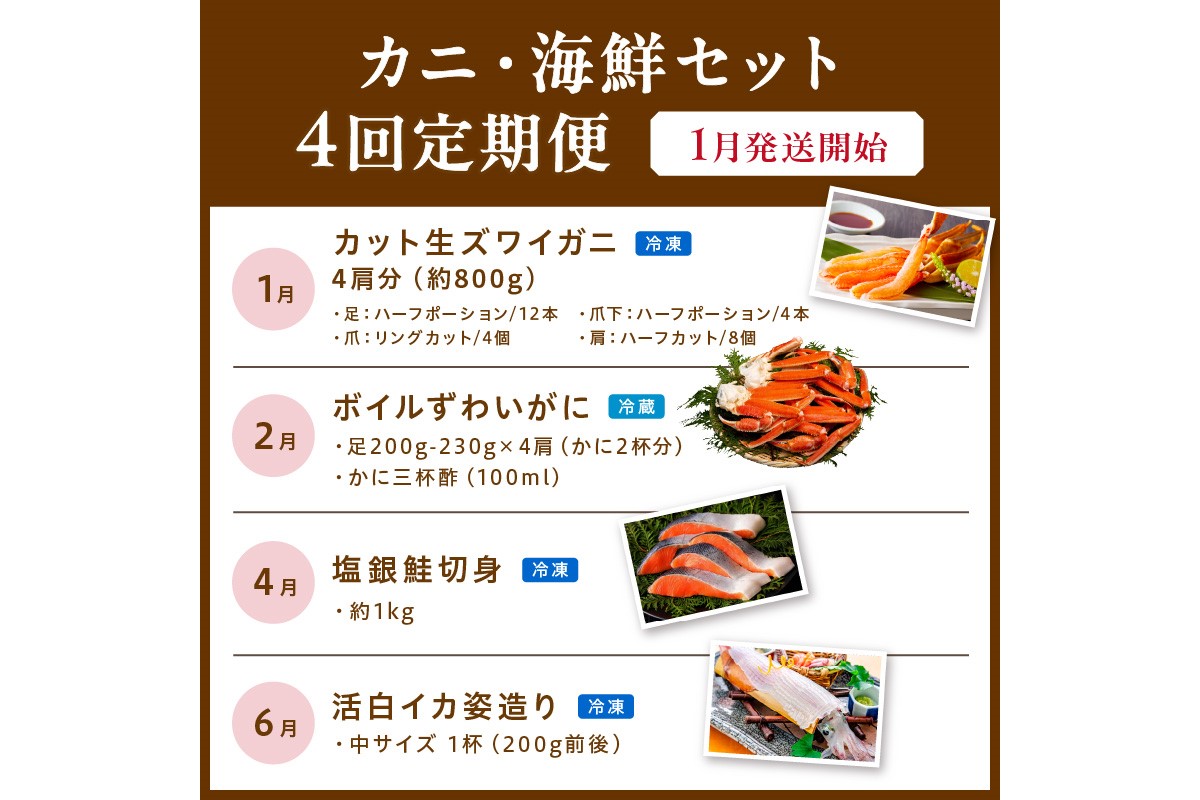 【定期便4回／1月発送～】店主厳選！おすすめカニ・海鮮セット（カット生ズワイガニ4肩・ボイルズワイガニ4肩・塩銀鮭切身約1kg・活イカ姿造り　中サイズ 1杯200g前後）　YK00254