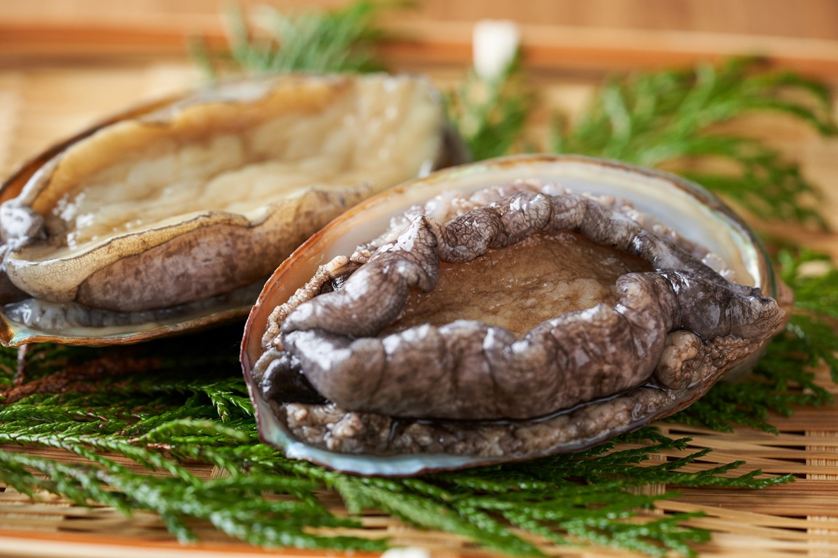 やわらか！絶品！アワビ酒蒸し 小サイズ5枚入り　YK00257