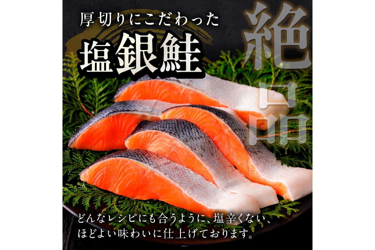 お手軽！絶品！厚切り　塩銀鮭切身 約1kg（プロトン凍結　訳あり　不揃い）　定期便　月1回×3ヵ月　YK00364