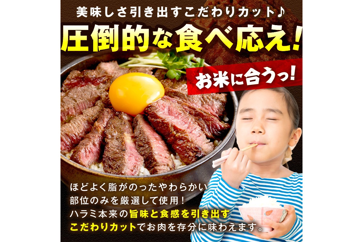 【訳あり】牛ハラミ（サガリ） 秘伝のタレ込み 味付け肉 600g（300g×2パック）（2026年1月上旬～発送）　YK00461