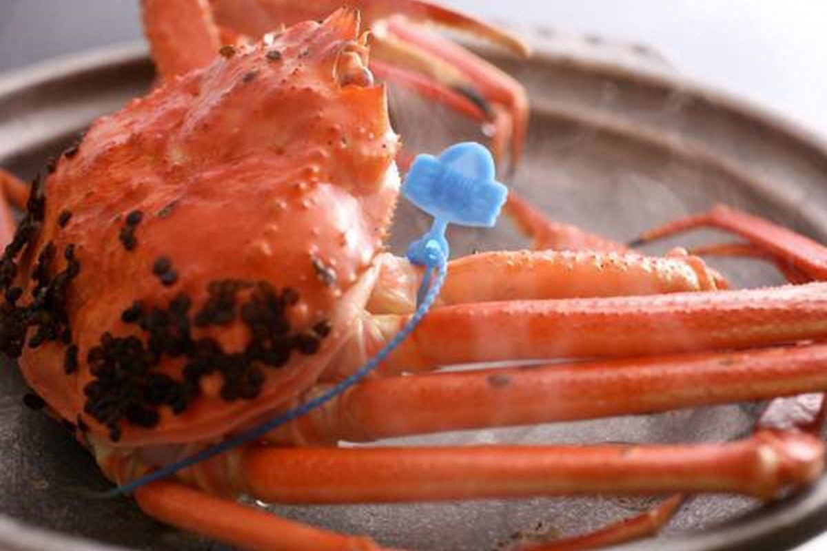 【訳あり！！タグ付きブランド】茹で松葉かに 鮮度抜群、釜茹でにてお届け！！ 600g級（足1本落ち）×1杯　YK00501