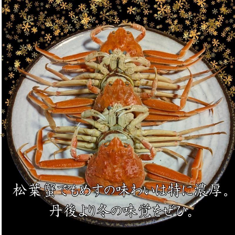 京丹後市より茹でたて プロトン凍結 【 訳あり 】 茹でこっぺがに 香箱ガニ 10匹　UM00010