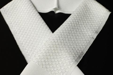 刺繍半衿（半襟）オフホワイト　AM00270