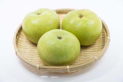 【先行予約／数量限定】京都丹後産 二十世紀梨 5kg（2026年9月上旬～発送）　AM00700