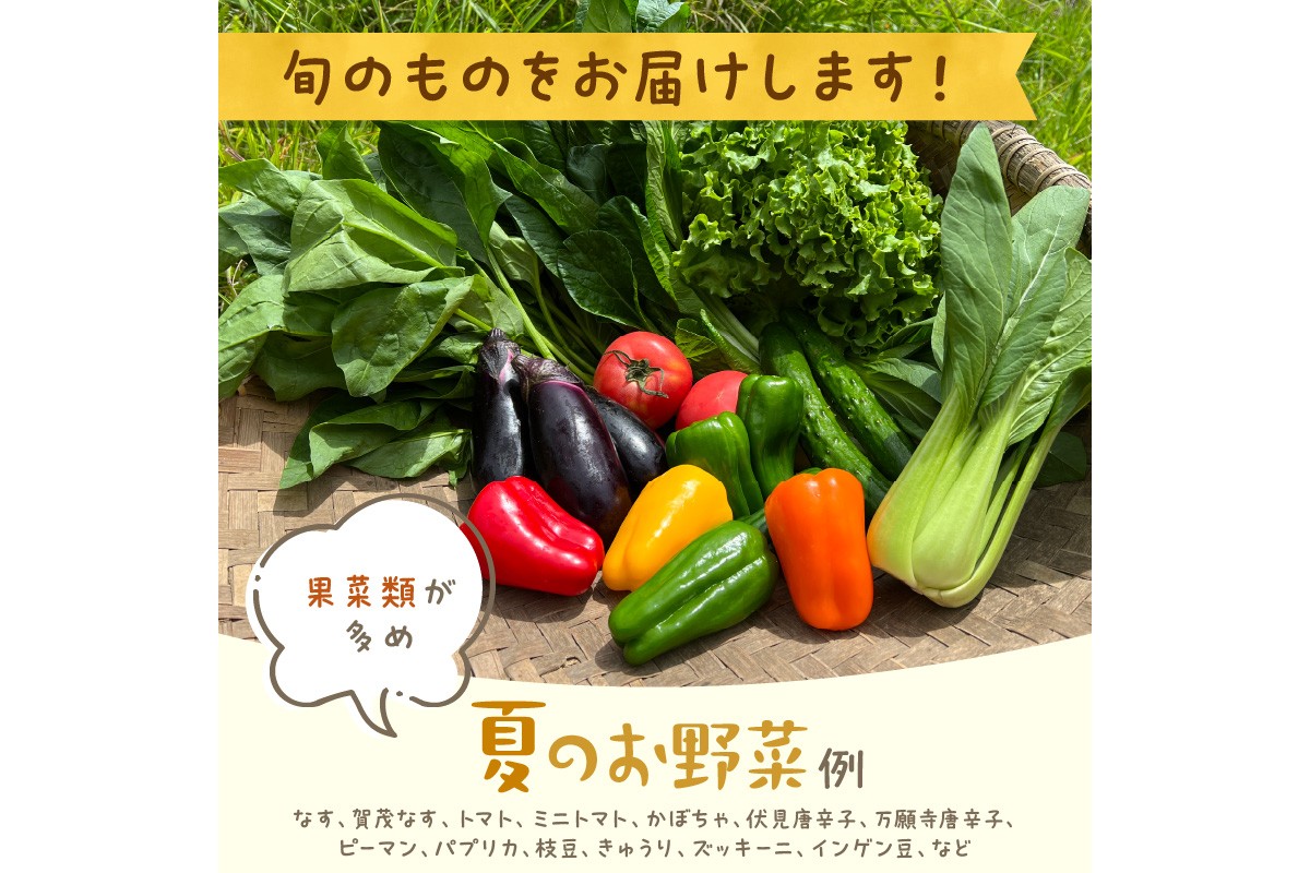 【定期便】合計4回お届け　有機野菜・京野菜の『京都やおよし』のお野菜＆牛乳900ml×2本の詰め合わせ　AA00050