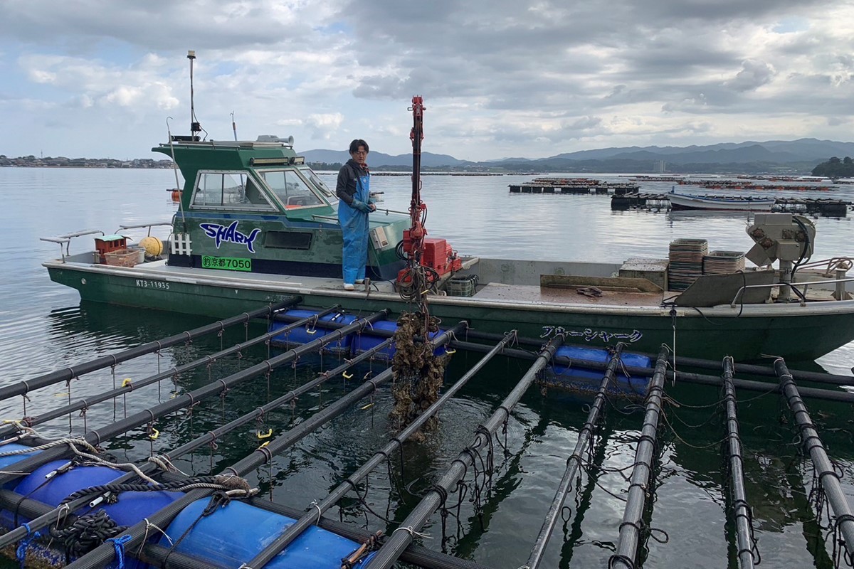 【先行予約】京都・京丹後産　鮮度抜群！濃厚肉厚岩牡蠣（生食用）約5kg（約10個）（殻付き・かんかん入り・冷蔵・ナイフ付き）　AH00018