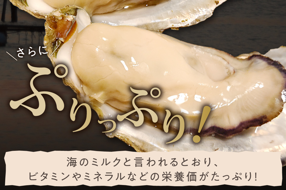 【年末年始（12月26日～1月4日）発送対応】京都・京丹後産牡蠣　カンカン焼き　約25個【軍手・ナイフ付き】　AH00025