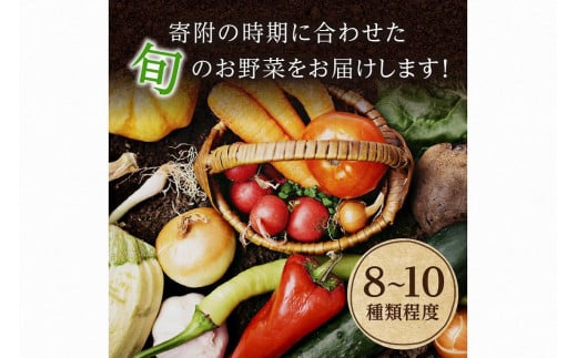 【京都・京丹後】有機野菜 定期便 4回【アスカ有機農園】旬の京丹後野菜セットS（栽培期間中　農薬・化学肥料不使用）＜京都 オーガニック アクション加盟＞京野菜セット・野菜 詰め合わせ・野菜定期便・有機栽培定期・オーガニック野菜・定期便4カ月　AY00012