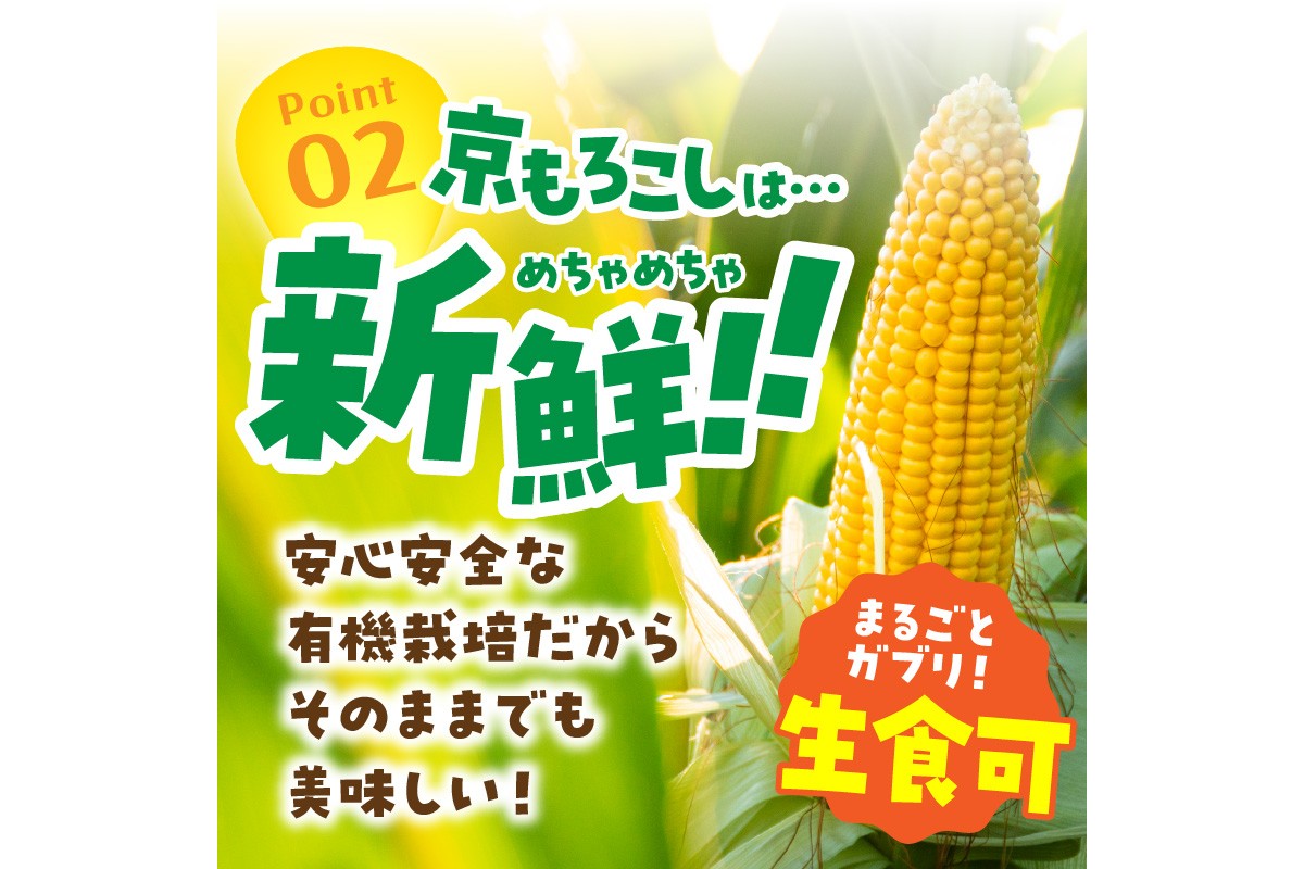 ＜てんとうむしばたけ＞有機とうもろこし5本　有機野菜 甘い 野菜 ふるさと納税 とうもろこし 期間限定 とうもろこしごはん かき揚げ 有機 オーガニック 産地直送 旬野菜 旬 コーン バター ペッパーランチ シャキシャキ 弾ける 丸ごと かぶりつき　BR00029