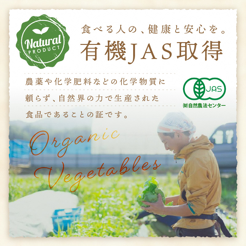 【先行予約：7月配送】＜てんとうむしばたけ＞夏のオーガニック野菜セット　有機野菜6～7種前後　BR00057_07