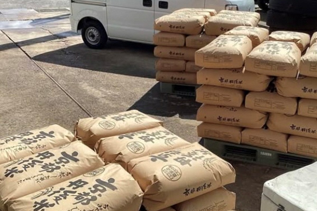 京都・久美浜産 特別栽培米コシヒカリ 5kg（玄米）　BV00002