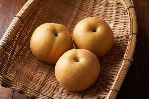 【先行予約】樹上完熟 豊水梨 5kg（10～16個）（2026年8月下旬～発送）　BF00010