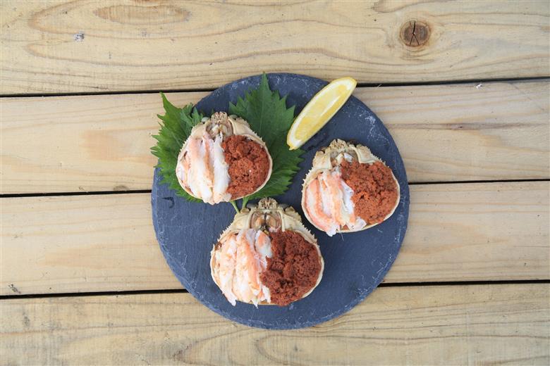 セイコガニ甲羅盛Sサイズ　3個セット　SK00126